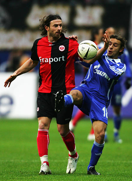 综合评价 综合评价